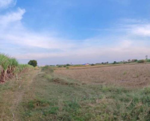 ที่ดิน ท่าผา บ้านโป่ง ราชบุรี