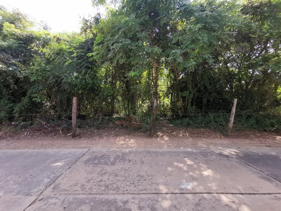 ที่ดิน ทับคล้อ ตะพานหิน พิจิตร