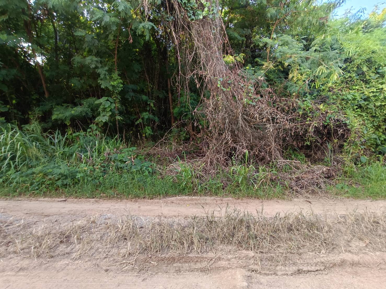 ที่ดิน มวกเหล็ก มวกเหล็ก สระบุรี