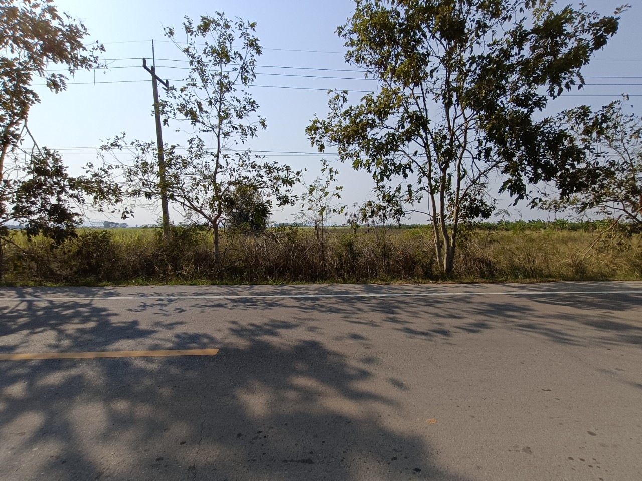 ที่ดิน ไร่ใหม่พัฒนา ชะอำ เพชรบุรี