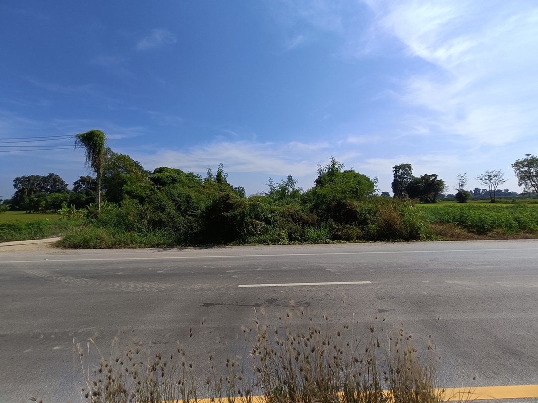 ที่ดิน ระหาน บึงสามัคคี กำแพงเพชร