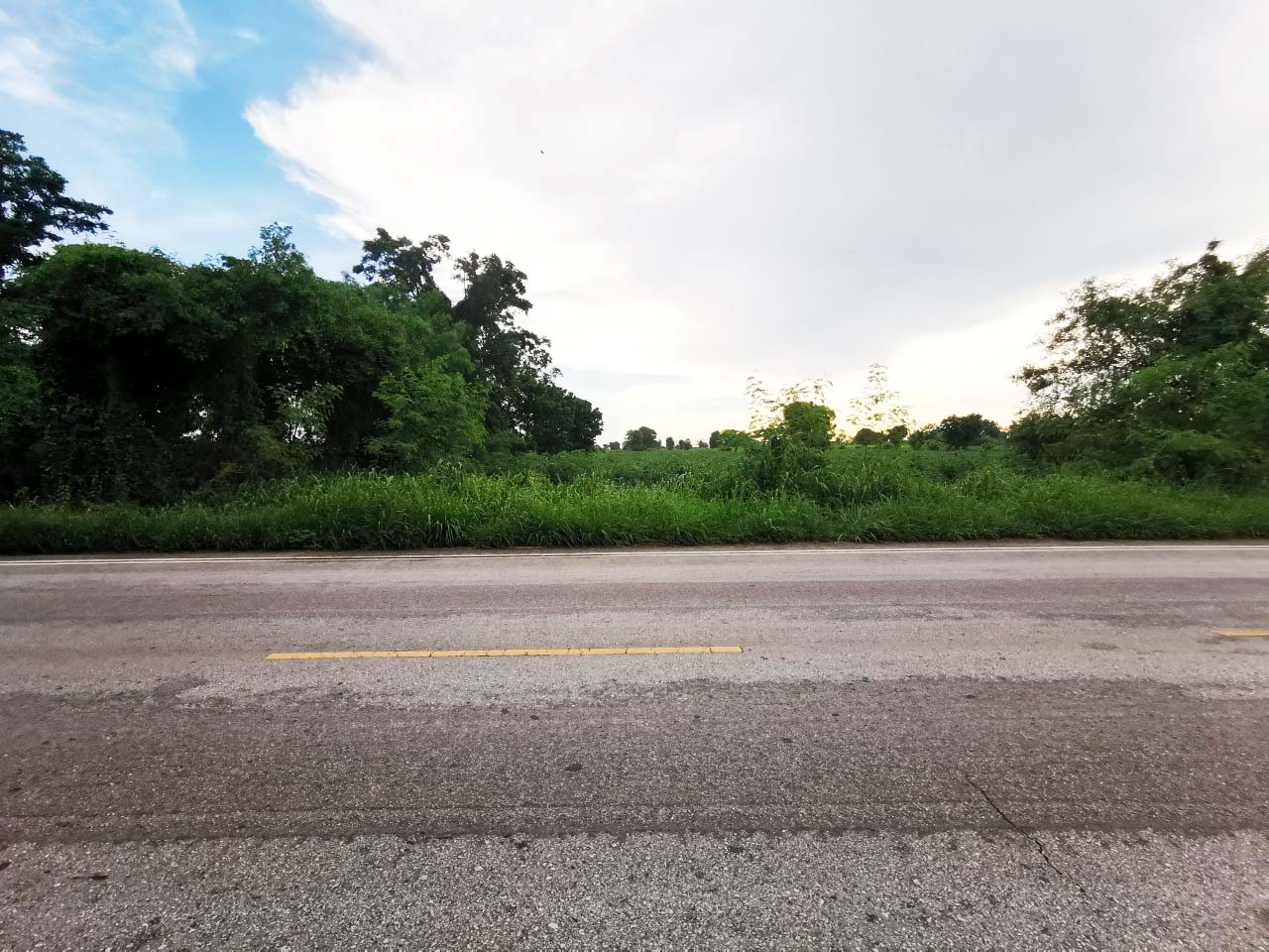 ที่ดิน บ้านกอก จัตุรัส ชัยภูมิ