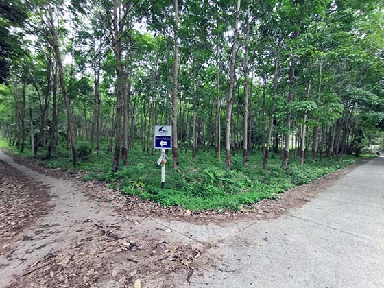 ที่ดิน เกาะลันตาใหญ่ เกาะลันตา กระบี่